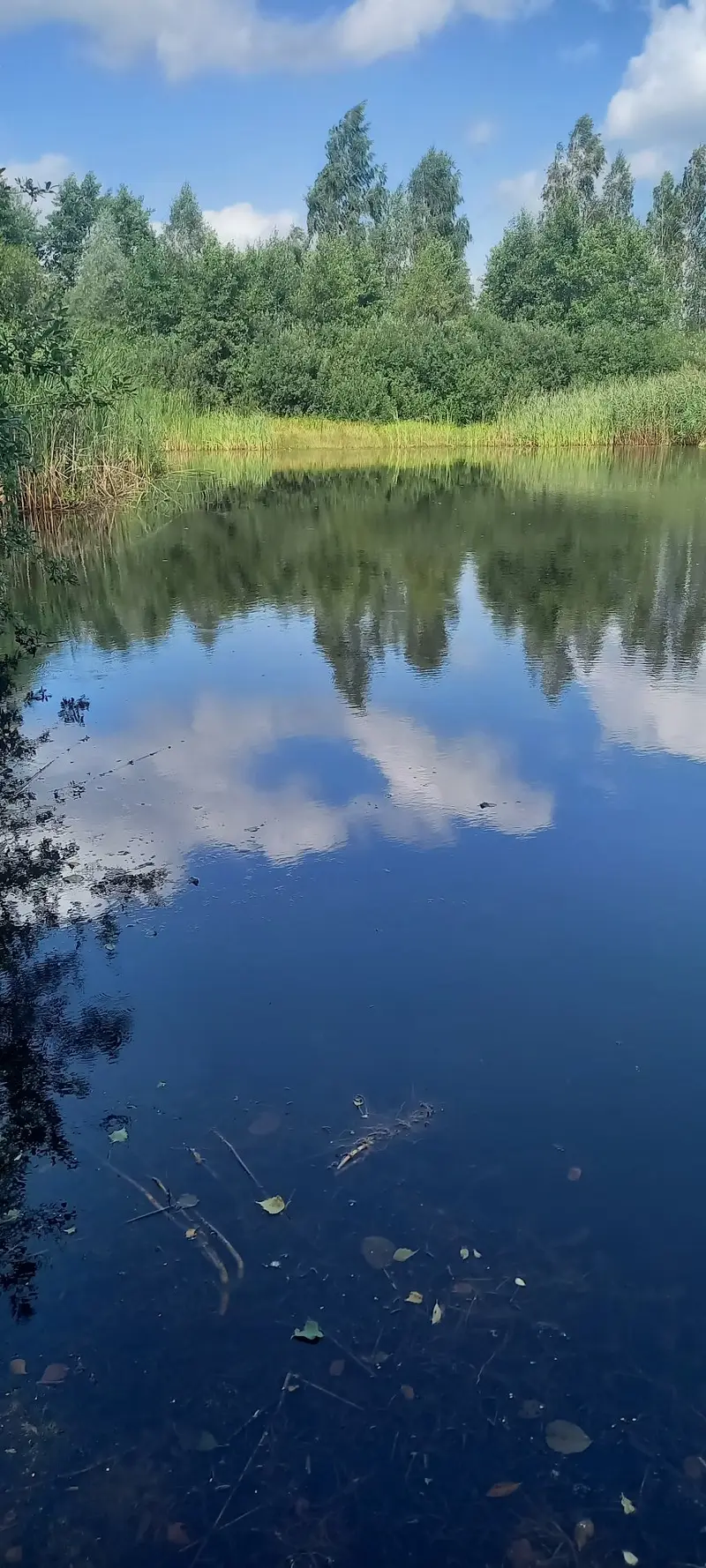 Дом, аг. Вялікія Чучэвічы, Лунінецкі раён