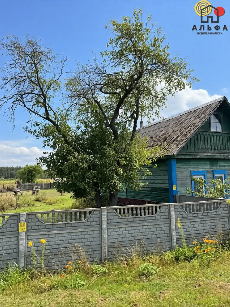 Дом, вул. 8 Сакавіка, в. Сасноўка, Гомельскі раён