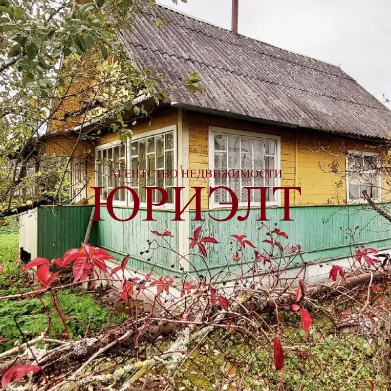 Дача, с.т. Заря, Витебский район