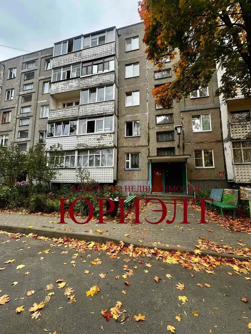 2-комнатная квартира, ул. Азалова, 24, Светлогорск