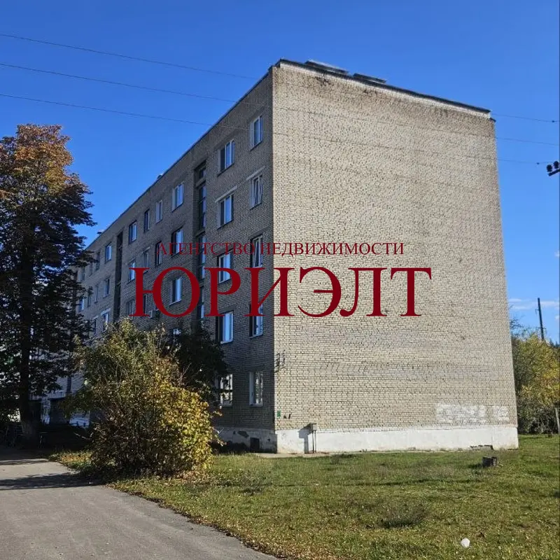 2-комнатная квартира, ул. Калинина, 21, рабочий п. Елизово, Осиповичский район